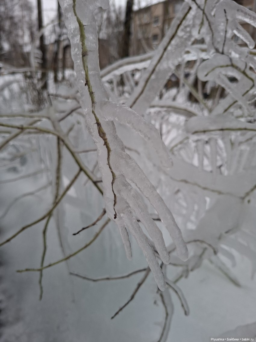Один зимний день Марты — Домашние фото авторских кукол: личные коллекции