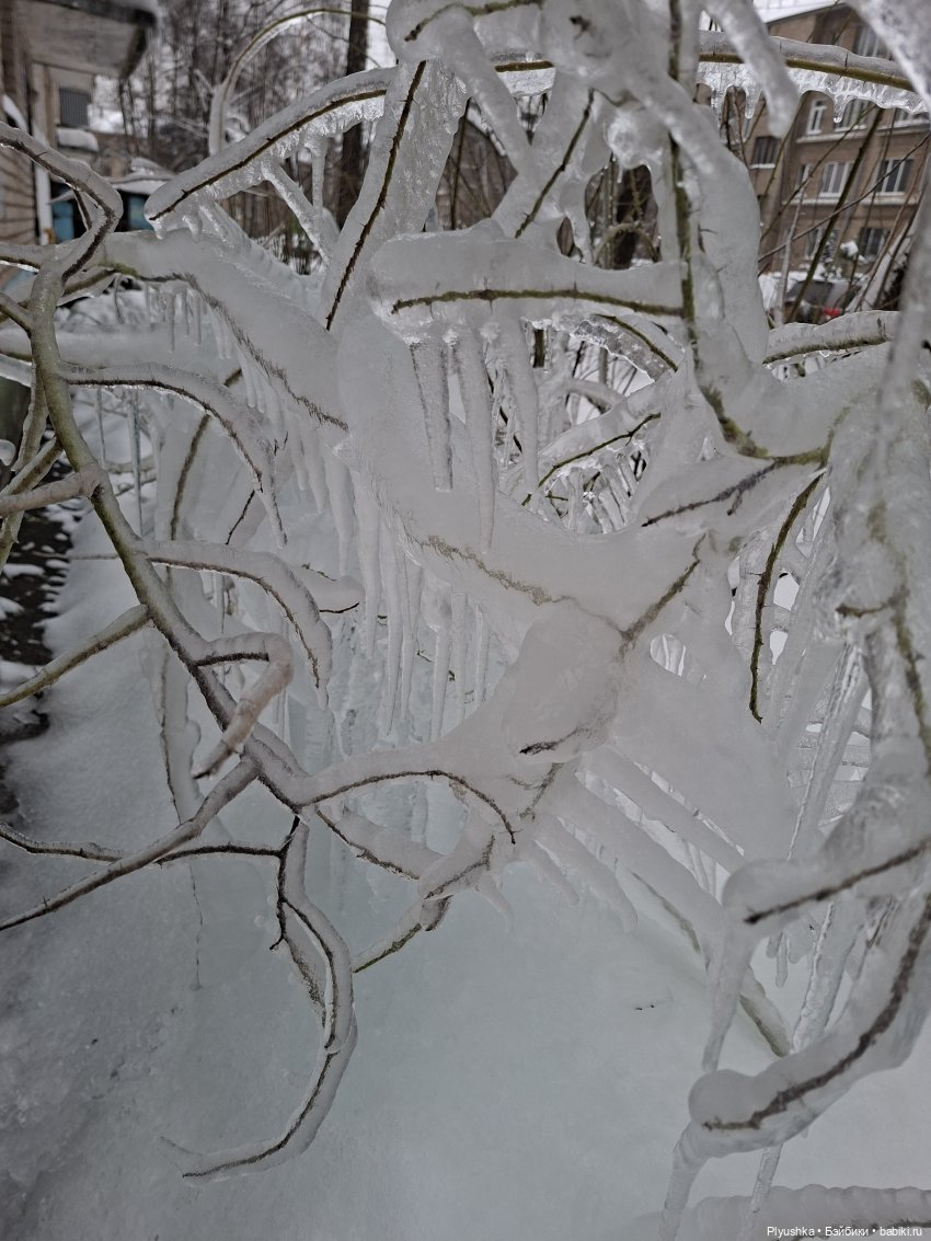 Один зимний день Марты — Домашние фото авторских кукол: личные коллекции (фото 2)