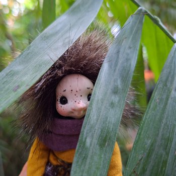 Аука в джунглях