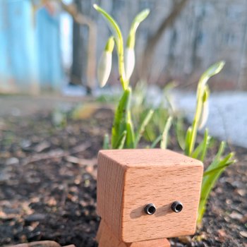 Первые подснежники