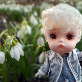 Весна, подснежники, Бабл.