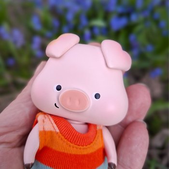 Цветочки, листочки, котик, Пончик)