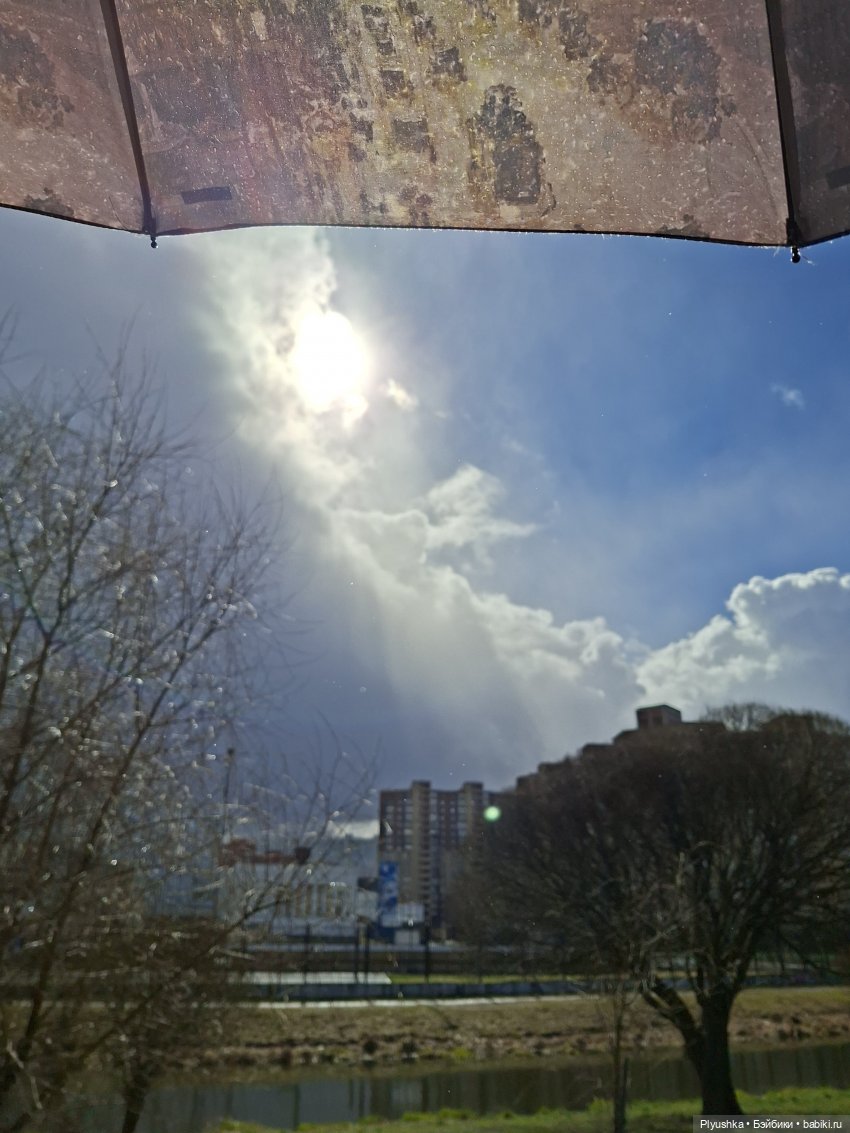 По следам Вербного воскресенья