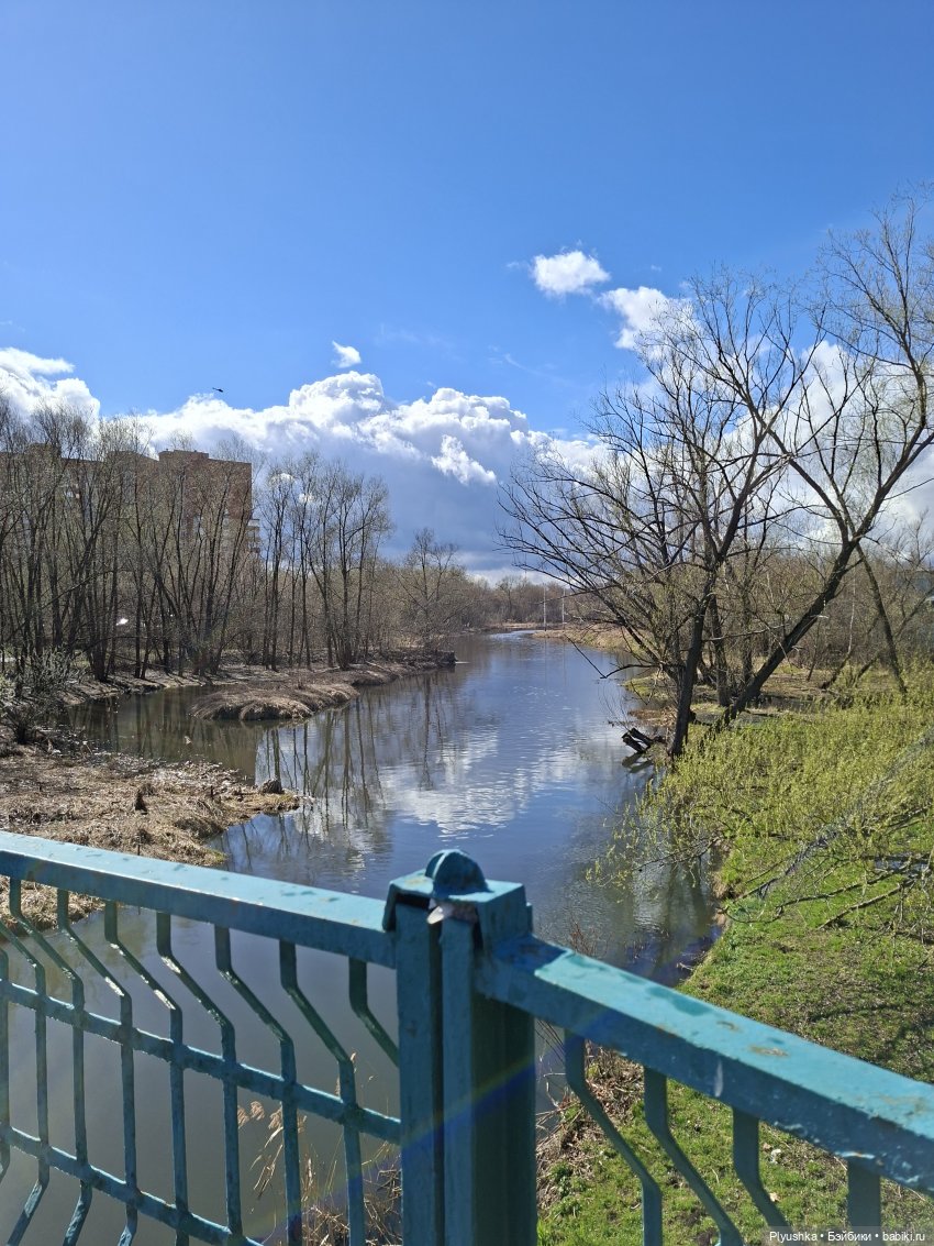 По следам Вербного воскресенья (фото 10)