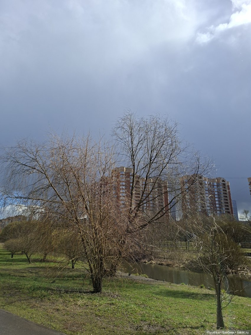 По следам Вербного воскресенья (фото 2)