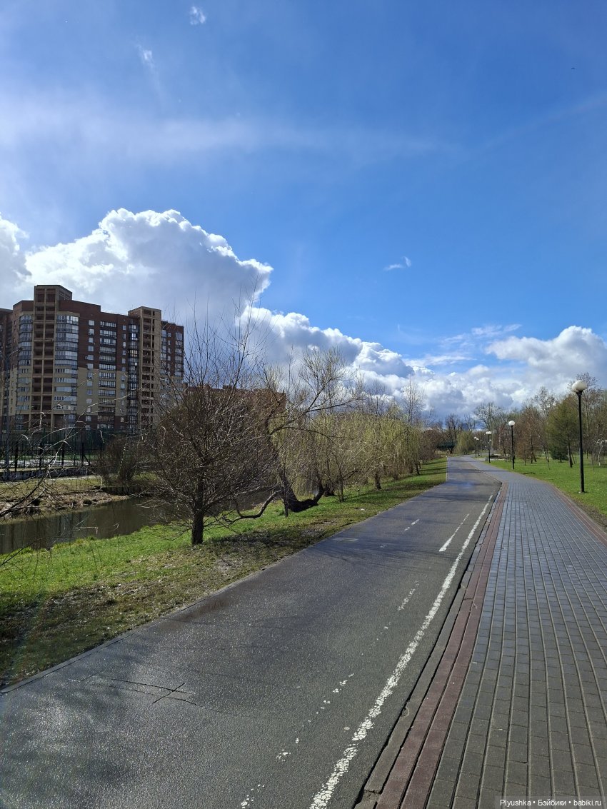 По следам Вербного воскресенья (фото 3)