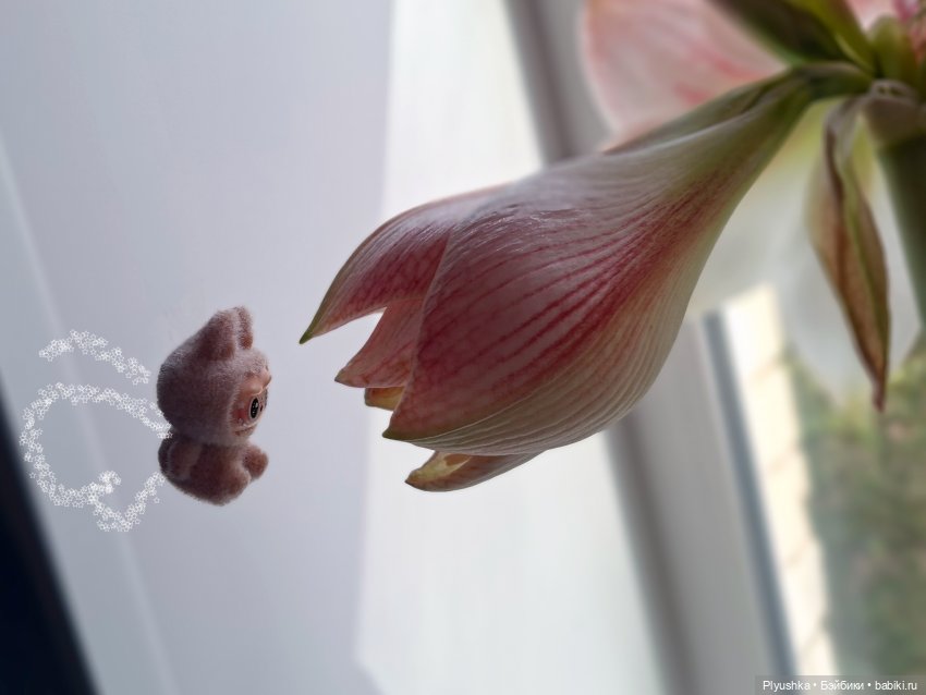 Какое время - такие и Феи) (фото 2)