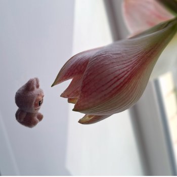 Какое время - такие и Феи)