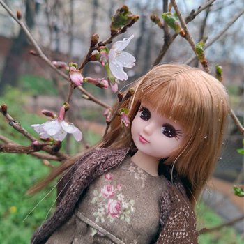 Мидори, сакура, и другие...