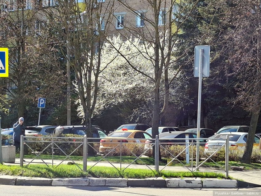 Валюша и весеннее цветение