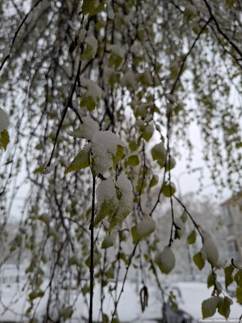 Капризы погоды — Фигурки Pop Mart (Поп Март): Blind Box