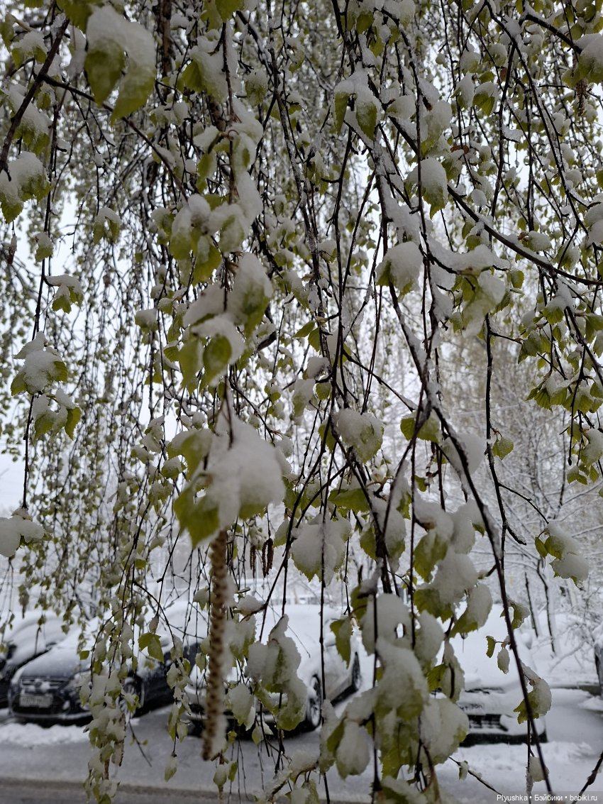 Капризы погоды — Фигурки Pop Mart (Поп Март): Blind Box