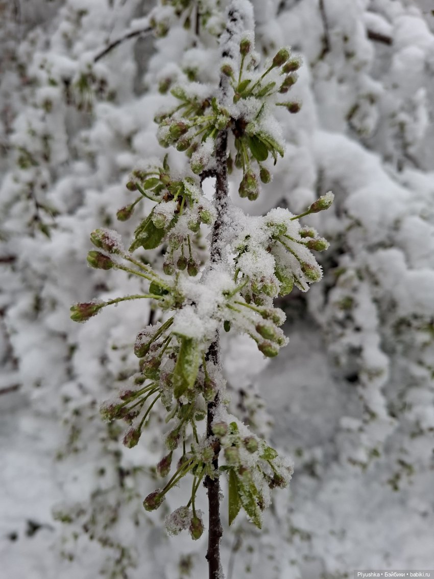 Капризы погоды — Фигурки Pop Mart (Поп Март): Blind Box (фото 4)