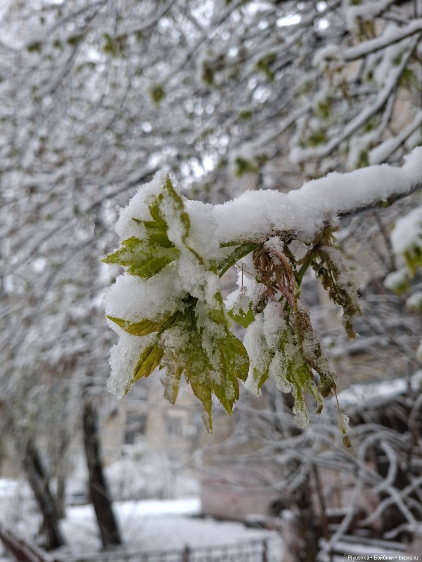 Капризы погоды — Фигурки Pop Mart (Поп Март): Blind Box (фото 10)