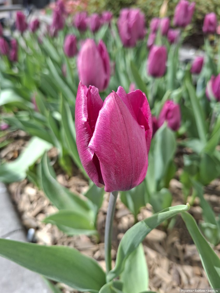 Прогулка по Москве — Куклы Barbie (Барби): Looks (фото 2)