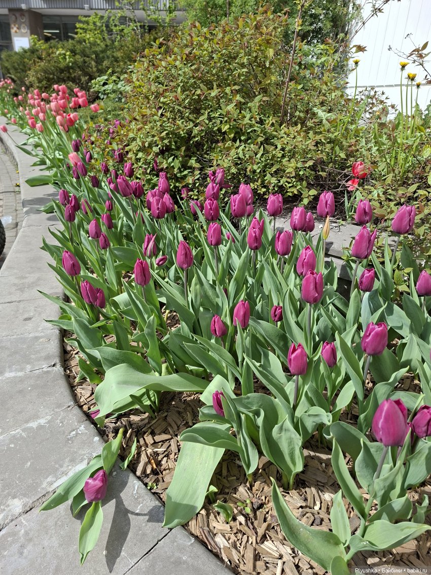 Прогулка по Москве — Куклы Barbie (Барби): Looks