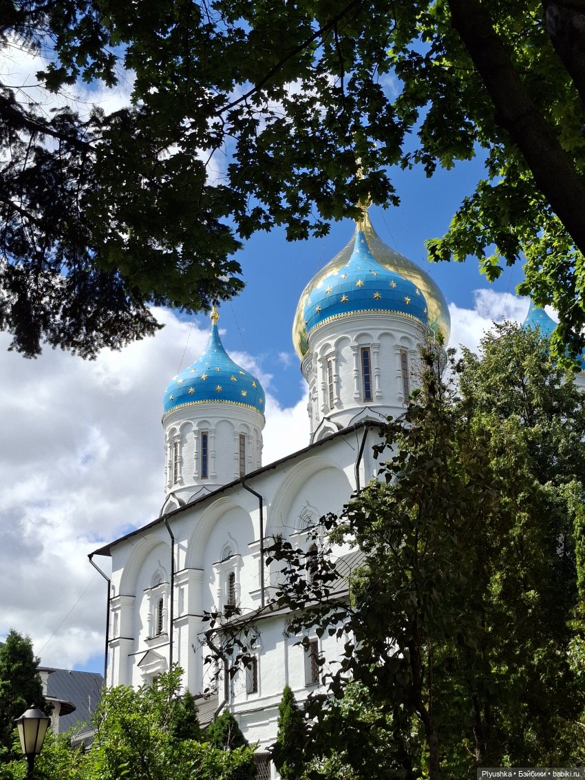 Новоспасский монастырь, Крутицкая набережная, Лили (фото 2)