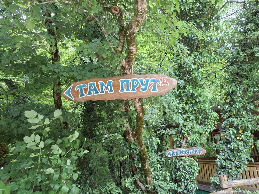 Южные приключения Таши — Куклы с Алиэкспресс (Aliexpress): Китайские шарнирные
