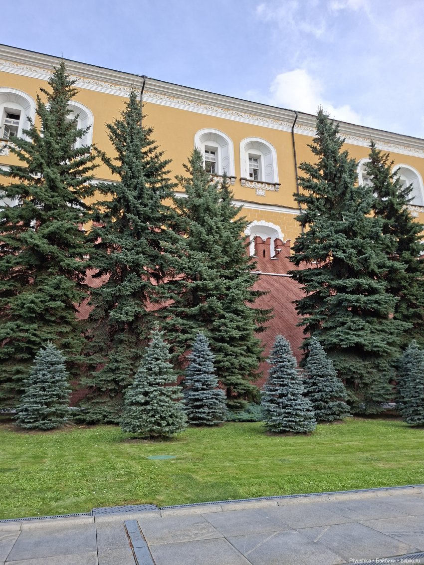 Один день Фуфыча — Куклы с Алиэкспресс (Aliexpress): Китайские шарнирные (фото 6)