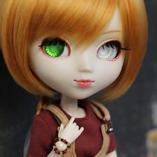 Мои куклы семейства Groove: начнем знакомство на новом сайте