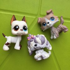 Littlest Pet Shop Собаки Littlest Pet Shop Собаки