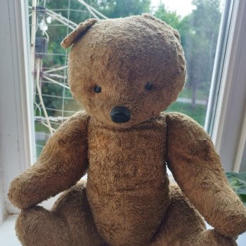 Самые лучшие друзья детства.