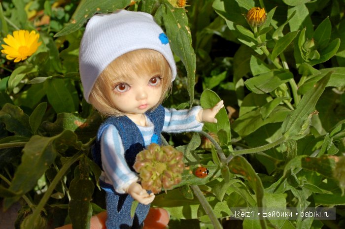 Поймали солнечный денёк — Куклы Fairyland (ФэйриЛэнд): BJD (БЖД) (фото 6)