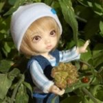 Поймали солнечный денёк