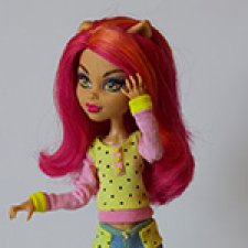 Яркие и модные. Monster High Fashion