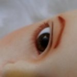 Новый Мейкап для тренировочного йорика.