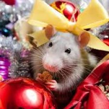 КуклоИтоги 2020 года