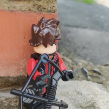 Прогулки с лего-человечками (Соколиный глаз )