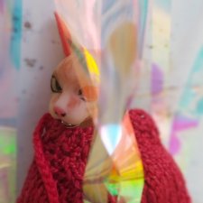 Личная фотосессия Тайяки