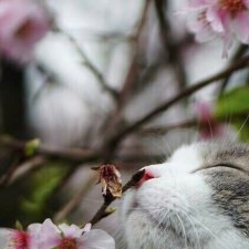 Флешмоб в честь 8 марта или Откуда столько Баболи?