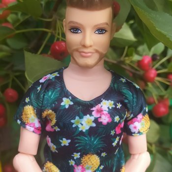 Китайский аналог Кена Fashionistas