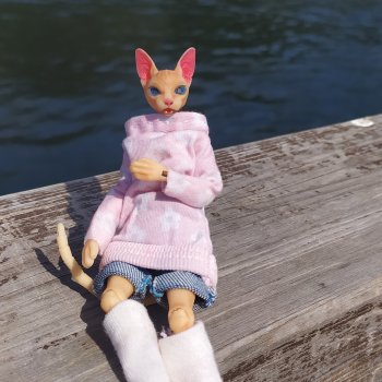 Путешествие кошечки Тайяки