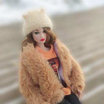 Холодные дни (Poppy Parker)