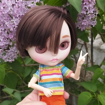 Физзи. Лягушечка - Blythe TBL