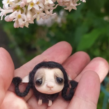 Суселка Тьюздей