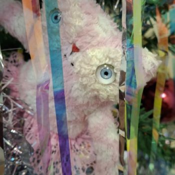 Не Лабуба, Не Лафуфа...Зяма)