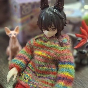 Руми гуляет