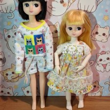 Ликки ( Licca chan)