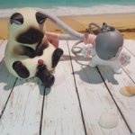 Лот азиатских гасяпонов Котоакула и Кот с сюрпризом