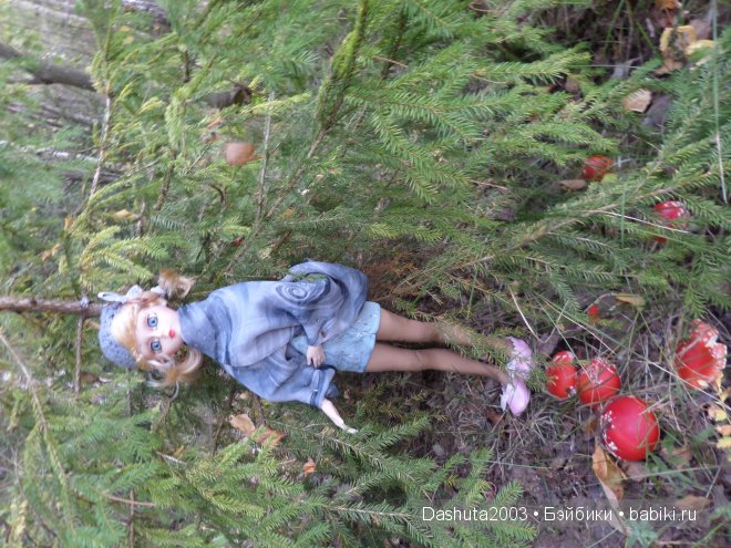 Моя милая Наоми ! ( куколка Звезда подиума ) (фото 7)