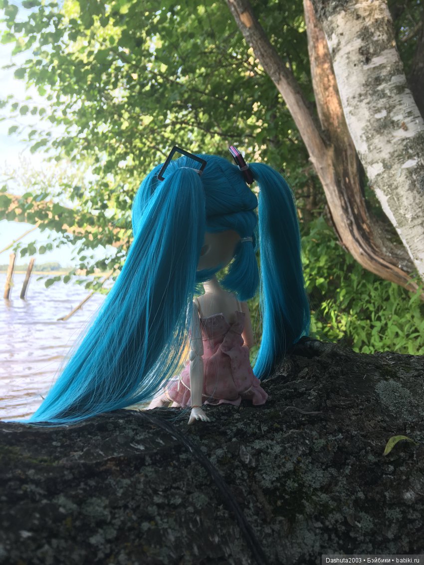 Вновь отправляемся в плавание! Путешествие по реке с Pullip Hatsune Miku и Pullip Ludmila