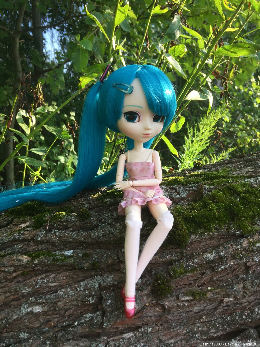 Вновь отправляемся в плавание! Путешествие по реке с Pullip Hatsune Miku и Pullip Ludmila