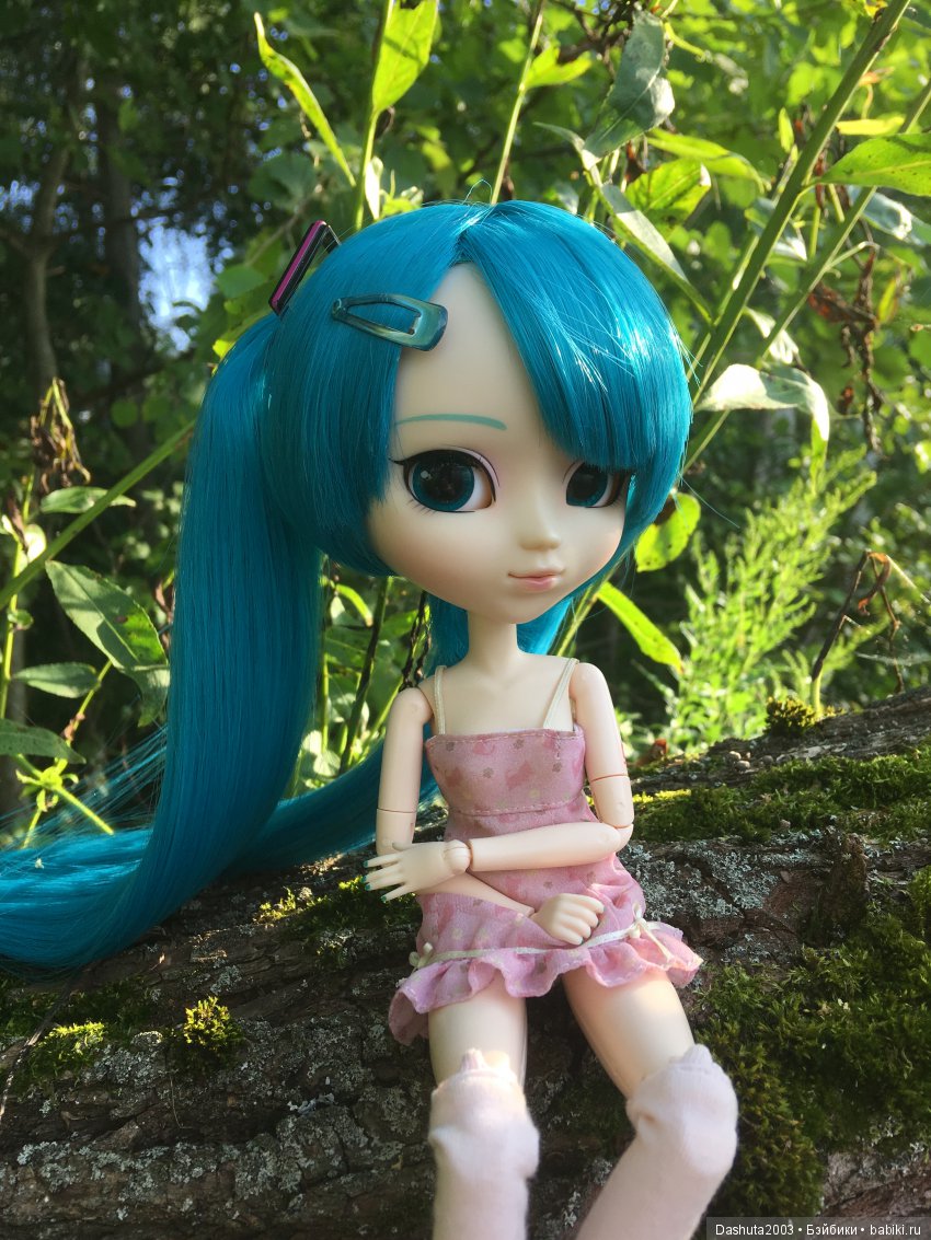 Вновь отправляемся в плавание! Путешествие по реке с Pullip Hatsune Miku и Pullip Ludmila
