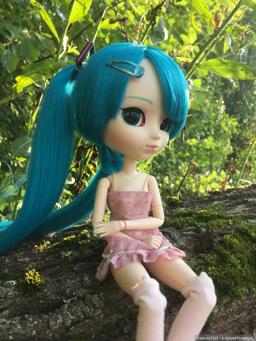 Вновь отправляемся в плавание! Путешествие по реке с Pullip Hatsune Miku и Pullip Ludmila