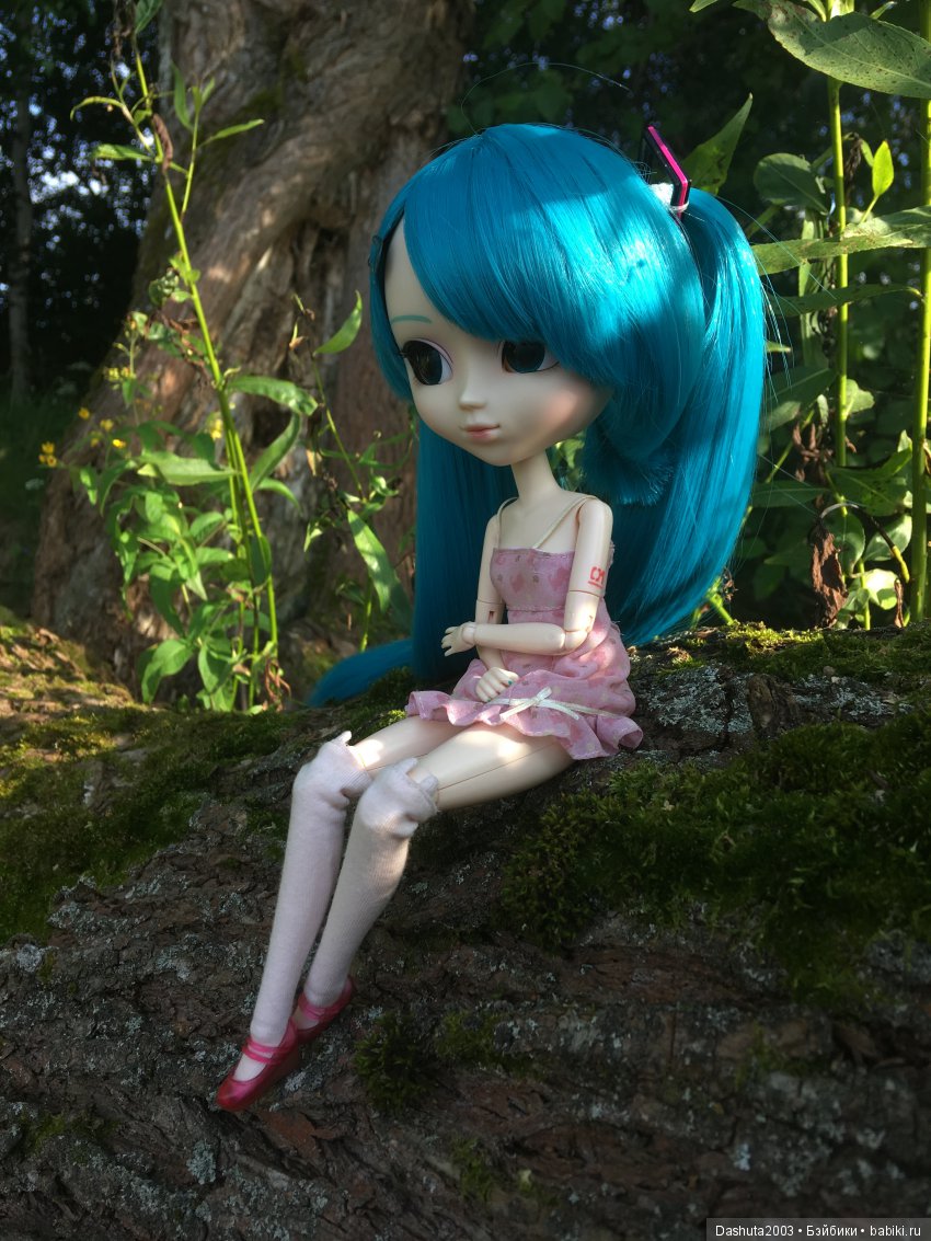 Вновь отправляемся в плавание! Путешествие по реке с Pullip Hatsune Miku и Pullip Ludmila