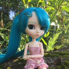 Вновь отправляемся в плавание! Путешествие по реке с Pullip Hatsune Miku и Pullip Ludmila